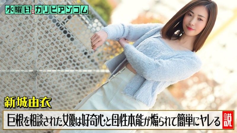 星期三的加勒比 ~陰莖太大而困擾，被諮詢的女演員好奇心和母性本能被激發，很容易就可以搞上~ 新城由衣